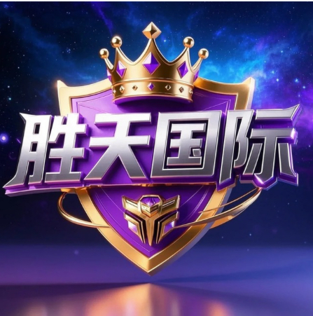 胜天国际